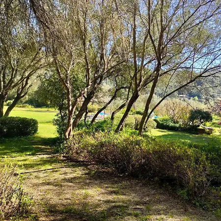 Villa Sa Tafona 