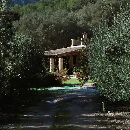 Villa Sa Tafona 